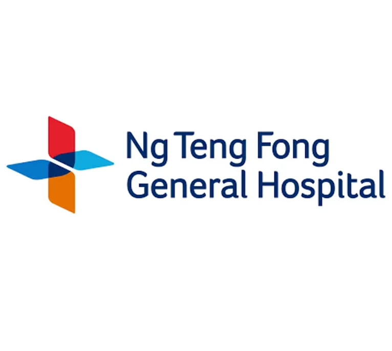 ng teng feng logo copy